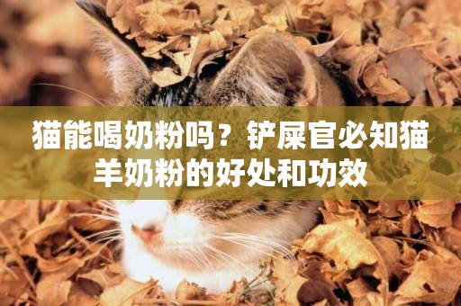 貓能喝奶粉嗎？鏟屎官必知貓羊奶粉的好處和功效