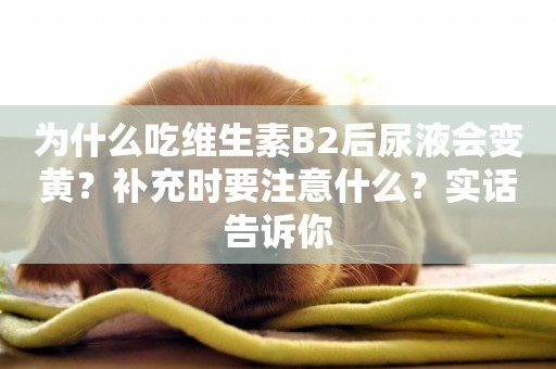 為什么吃維生素B2后尿液會變黃？補充時要注意什么？實話告訴你