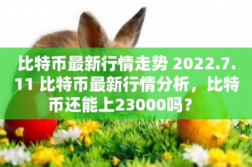 比特幣最新行情走勢 2022.7.11 比特幣最新行情分析，比特幣還能上23000嗎？ 