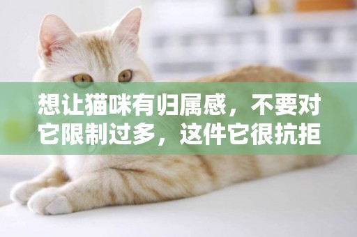 想讓貓咪有歸屬感，不要對它限制過多，這件它很抗拒的事少做