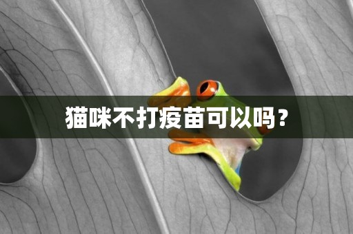 貓咪不打疫苗可以嗎？