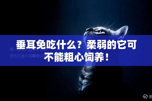 垂耳免吃什么？柔弱的它可不能粗心飼養！