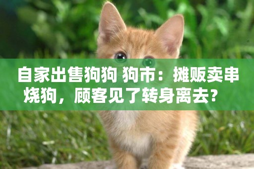 自家出售狗狗 狗市：攤販賣串燒狗，顧客見了轉身離去？ 