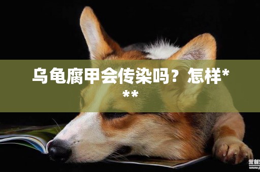 烏龜腐甲會傳染嗎？怎樣***