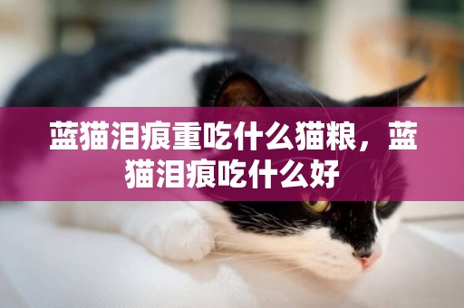 藍貓淚痕重吃什么貓糧，藍貓淚痕吃什么好