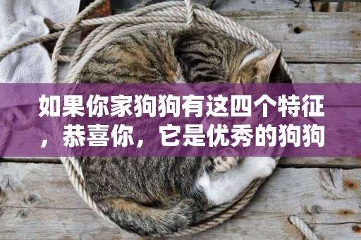 如果你家狗狗有這四個特征，恭喜你，它是優秀的狗狗