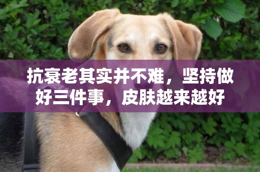 抗衰老其實并不難，堅持做好三件事，皮膚越來越好