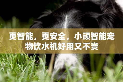 更智能，更安全，小頑智能寵物飲水機好用又不貴