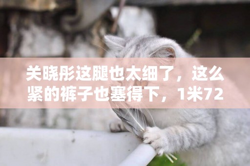 關曉彤這腿也太細了，這么緊的褲子也塞得下，1米72的身高沒浪費