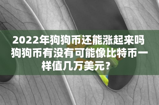 2022年狗狗幣還能漲起來嗎 狗狗幣有沒有可能像比特幣一樣值幾萬美元？ 