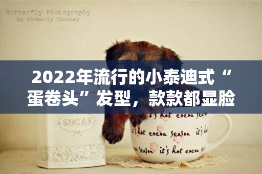 2022年流行的小泰迪式“蛋卷頭”發型，款款都顯臉小又減齡！