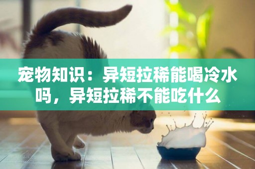寵物知識：異短拉稀能喝冷水嗎，異短拉稀不能吃什么