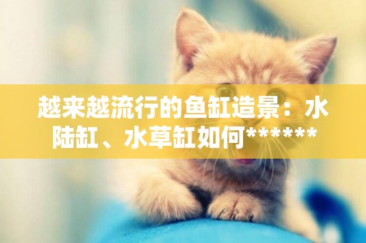 越來越流行的魚缸造景：水陸缸、水草缸如何******