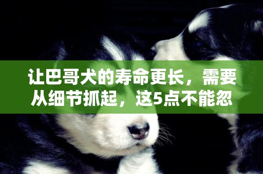 讓巴哥犬的壽命更長，需要從細節抓起，這5點不能忽略