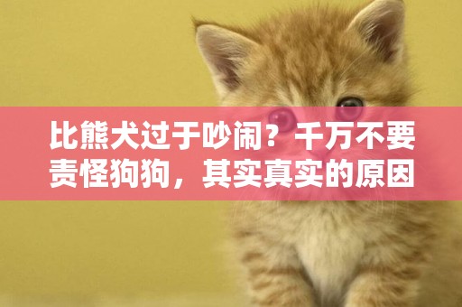 比熊犬過于吵鬧？千萬不要責怪狗狗，其實真實的原因是這樣