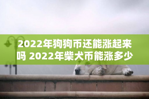 2022年狗狗幣還能漲起來嗎 2022年柴犬幣能漲多少（2021年底柴犬幣能漲多少） 