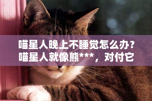 喵星人晚上不睡覺怎么辦？喵星人就像熊***，對付它不能心軟！