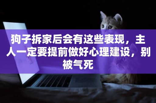狗子拆家后會有這些表現，主人一定要提前做好心理建設，別被氣死