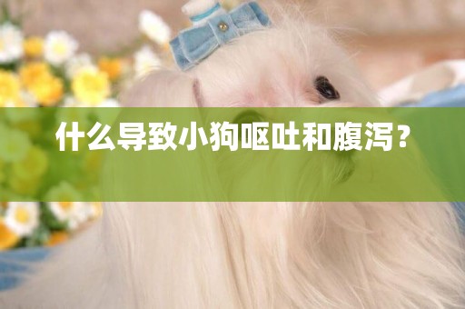 什么導致小狗嘔吐和腹瀉？ 