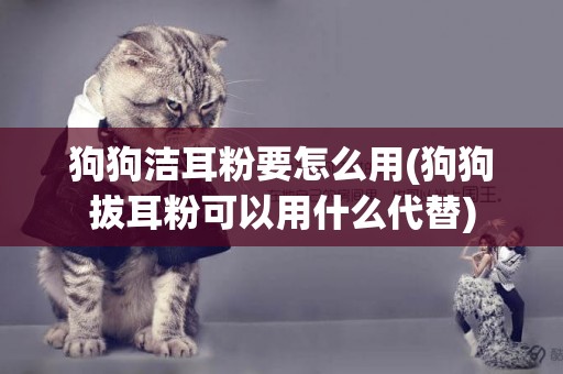 狗狗潔耳粉要怎么用(狗狗拔耳粉可以用什么代替)