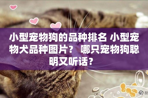 小型寵物狗的品種排名 小型寵物犬品種圖片？ 哪只寵物狗聰明又聽話？ 