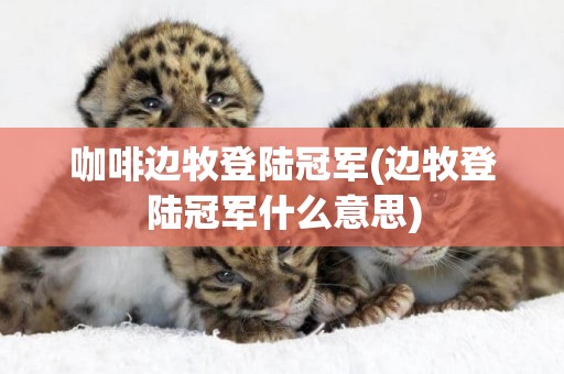 咖啡邊牧登陸冠軍(邊牧登陸冠軍什么意思)
