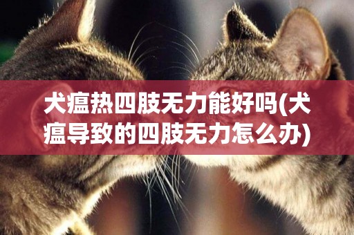 犬瘟熱四肢無力能好嗎(犬瘟導致的四肢無力怎么辦)