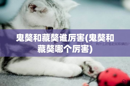 鬼獒和藏獒誰厲害(鬼獒和藏獒哪個厲害)
