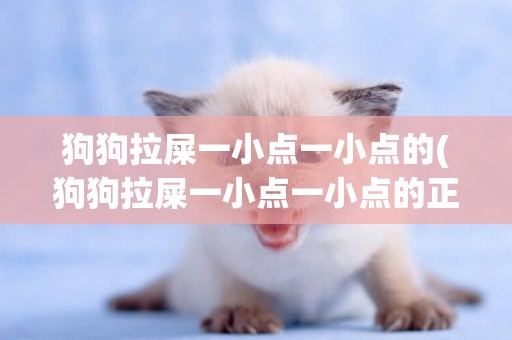 狗狗拉屎一小點一小點的(狗狗拉屎一小點一小點的正常嗎)