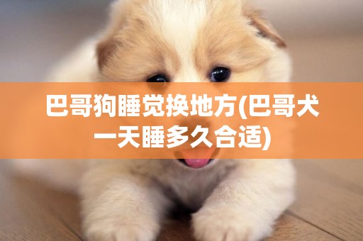 巴哥狗睡覺換地方(巴哥犬一天睡多久合適)