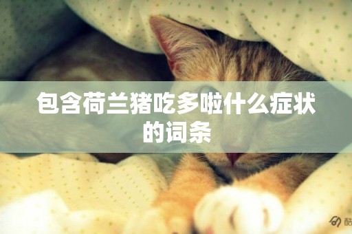 包含荷蘭豬吃多啦什么癥狀的詞條