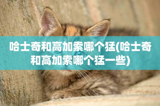 哈士奇和高加索哪個猛(哈士奇和高加索哪個猛一些)