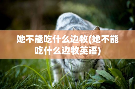 她不能吃什么邊牧(她不能吃什么邊牧英語)