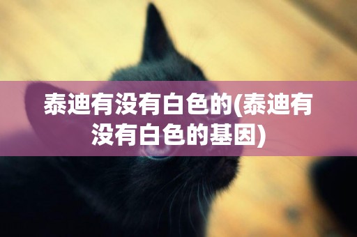 泰迪有沒有白色的(泰迪有沒有白色的基因)