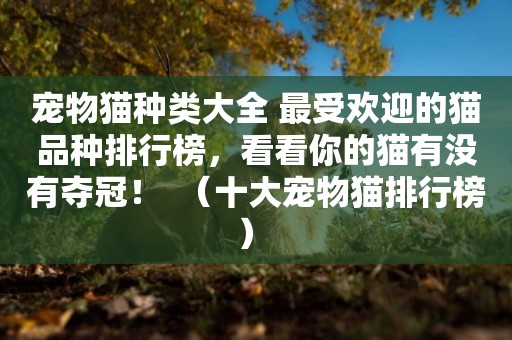 寵物貓種類大全 最受歡迎的貓品種排行榜，看看你的貓有沒有奪冠！  （十大寵物貓排行榜） 