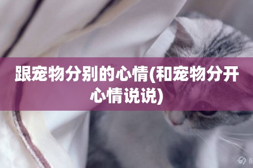 跟寵物分別的心情(和寵物分開心情說說)