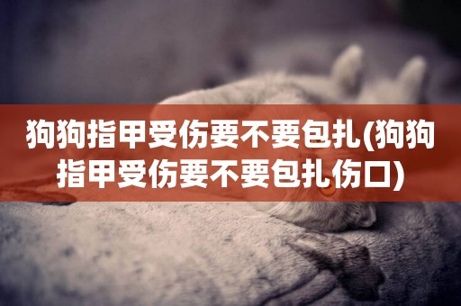 狗狗指甲受傷要不要包扎(狗狗指甲受傷要不要包扎傷口)