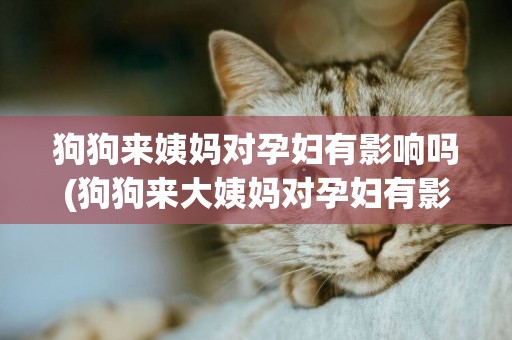 狗狗來姨媽對孕婦有影響嗎(狗狗來大姨媽對孕婦有影響嗎)