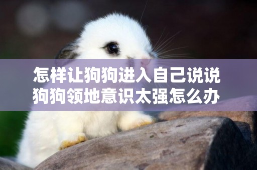 怎樣讓狗狗進入自己說說 狗狗領地意識太強怎么辦 
