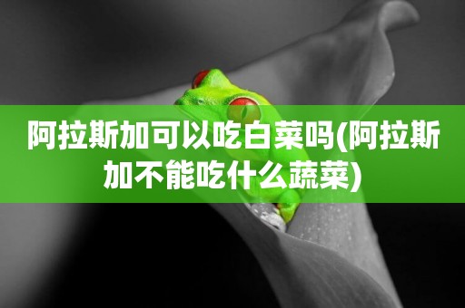 阿拉斯加可以吃白菜嗎(阿拉斯加不能吃什么蔬菜)