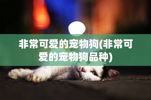 非常可愛的寵物狗(非常可愛的寵物狗品種)