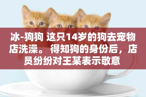 冰-狗狗 這只14歲的狗去寵物店洗澡。 得知狗的身份后，店員紛紛對王某表示敬意 
