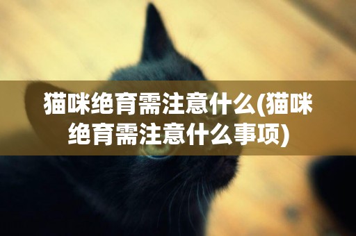 貓咪絕育需注意什么(貓咪絕育需注意什么事項)