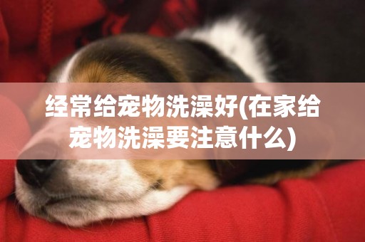 經常給寵物洗澡好(在家給寵物洗澡要注意什么)