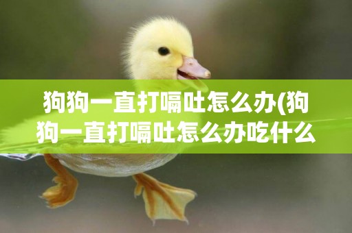 狗狗一直打嗝吐怎么辦(狗狗一直打嗝吐怎么辦吃什么藥)