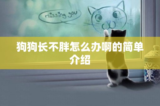 狗狗長不胖怎么辦啊的簡單介紹