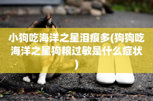 小狗吃海洋之星淚痕多(狗狗吃海洋之星狗糧過敏是什么癥狀)
