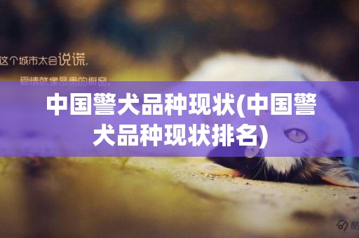 中國警犬品種現狀(中國警犬品種現狀排名)