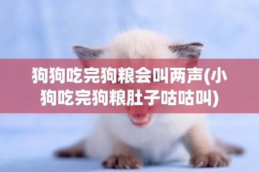 狗狗吃完狗糧會叫兩聲(小狗吃完狗糧肚子咕咕叫)