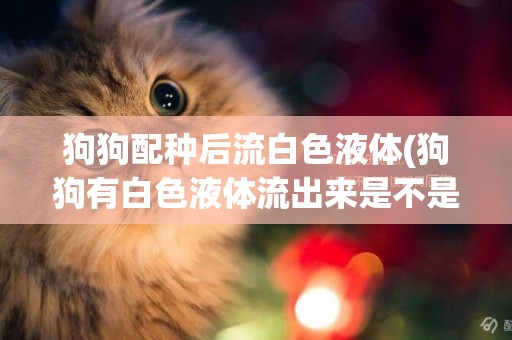 狗狗配種后流白色液體(狗狗有白色液體流出來是不是要生了)